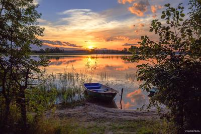 Картина Рассвет на озере ᐉ Вах Ольга ᐉ онлайн-галерея Molbert.