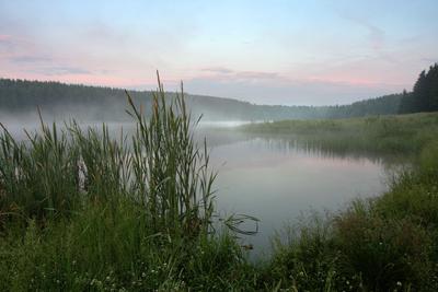 Туманное утро на озере (57 фото) - 57 фото