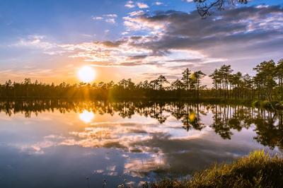 Лес солнце озеро - 72 фото