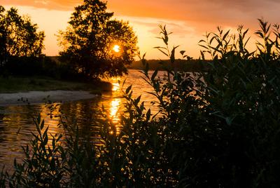 Мир через объектив: Рассвет. Утро. Ладожское озеро. Камни.