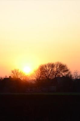 Рассвет в деревне. восход солнца в пригородном пейзаже | Премиум Фото