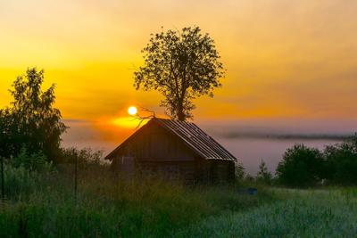 Рассвет в деревне :: Елена Грошева – Социальная сеть ФотоКто