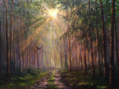 Рассвет в лесу, солнечные лучи пробираются сквозь туман, создавая большой  объем в раме Концепция, мир и Стоковое Изображение - изображение  насчитывающей откровенный, место: 158390175