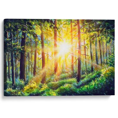 Закат солнца в лесу | Жизнь в Херсонской /живые истории | Дзен