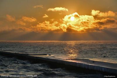 Фотограф показала фантастический рассвет и жемчужное море в Одессе -  Новости Одессы | Сегодня