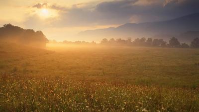 Рассвет В Пшеничном Поле. Фотография, картинки, изображения и  сток-фотография без роялти. Image 58855478