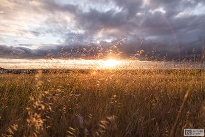 Рассвет в поле — Фото №1342369