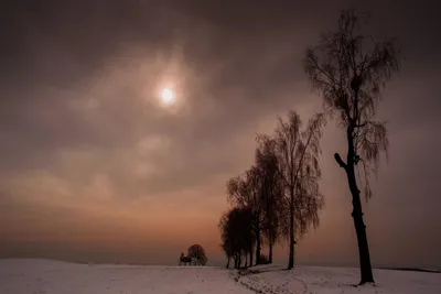 Фототерапия - Зимний рассвет. | Facebook