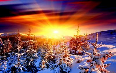 Обои природа, лес, рассвет, зима, горы картинки на рабочий стол, фото  скачать бесплатно