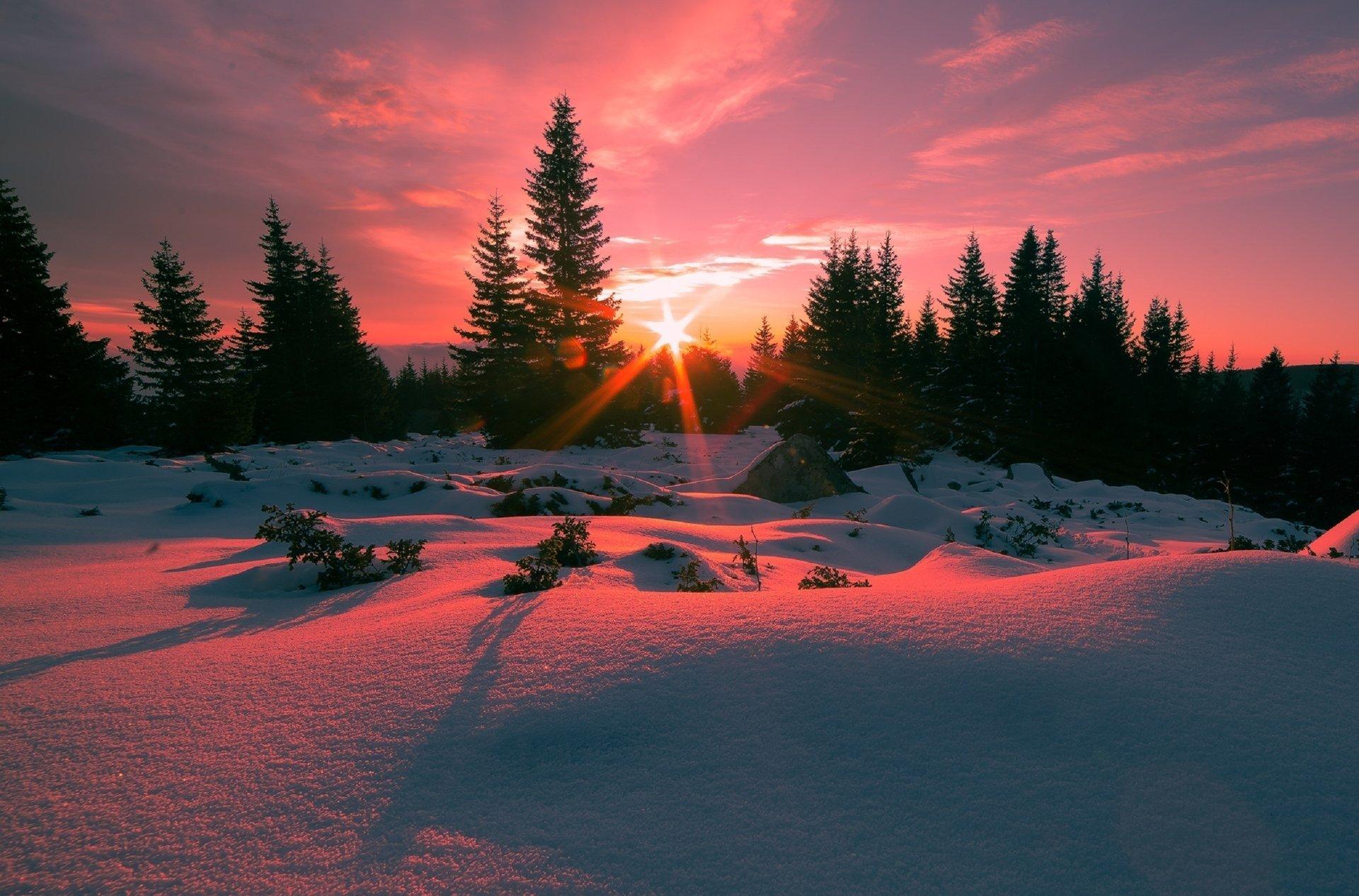 Зимний рассвет. Photographer Sergey Shabunevich