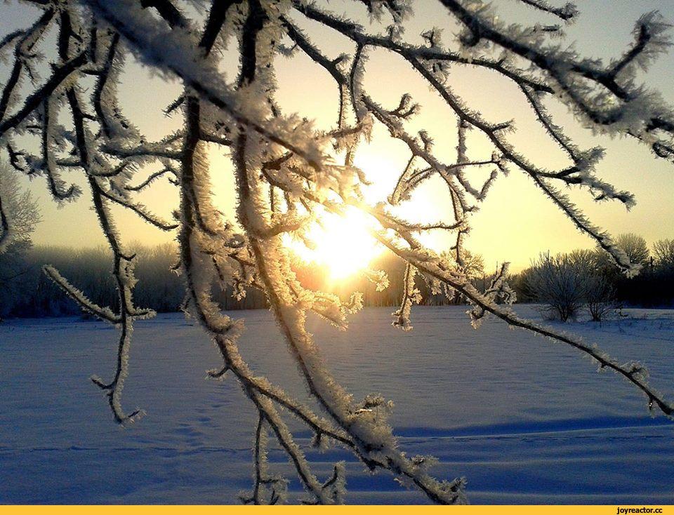 Зима рассвет в лесу - 75 фото