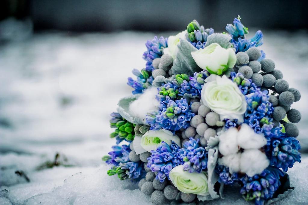 Растения под снегом, правильно их защитить. Процессы внутри растений зимой.  | e-land66.ru