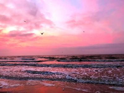 Pink Beach Sunrise No. 1