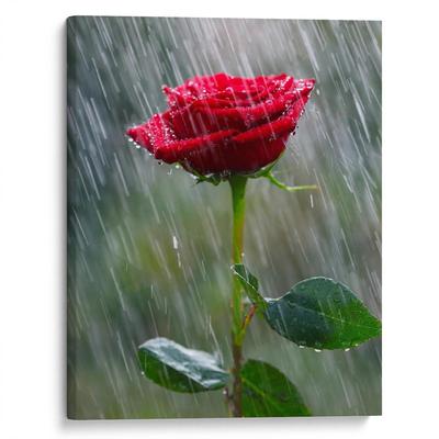Картина на холсте \"Роза под дождем\"
