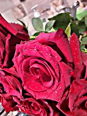 Красивые розы под дождем (95 фото) »