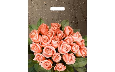 Фотообои Розы \"Бархатная алая роза после дождя\" - арт 0120015037 | Купить в  интернет-магазине Фото в дом