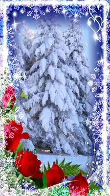 Смотри видео Поздравь красиво родных,близких,друзей! #СДнем #Рождения #зимой  #Красивое #видео #поздравление на #день #ро… | С днем рождения, День  рождения, Открытки