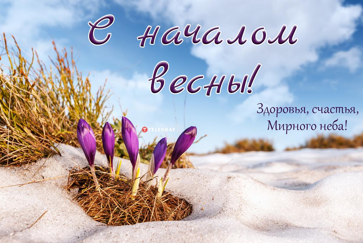 Поздравления с первым днем весны – открытки и пожелания в стихах на 1 марта  - Телеграф