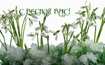 С праздником весны, любви и красоты! - Сибирский региональный Союз Чернобыль