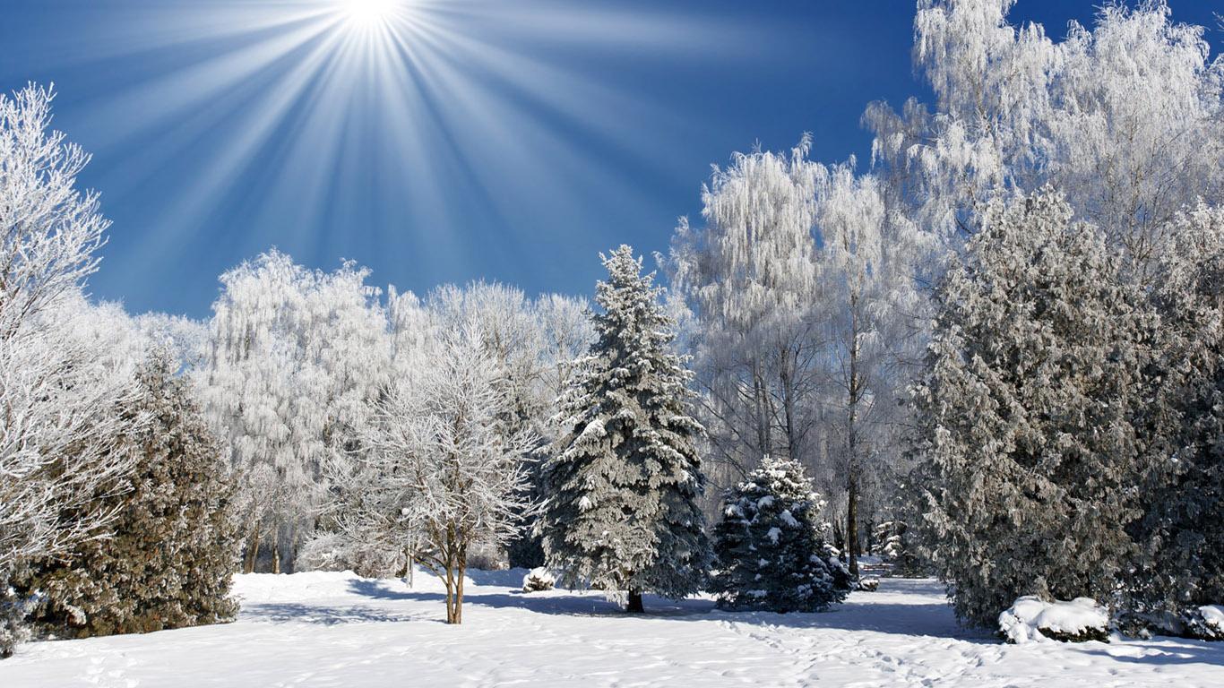 Обои \"Зима и Новый год\" - настроение праздника на рабочий стол! | Снежинки,  Картинки, Новый год