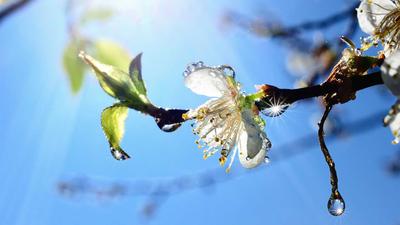 Красивые картинки природы весна - 68 фото