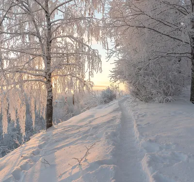 Цитата дня: красивые афоризмы о зиме