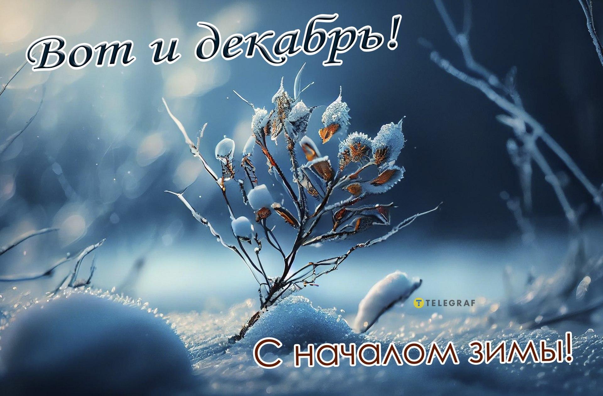 Снеговик изображение_Фото номер 401888607_PNG Формат  изображения_ru.lovepik.com