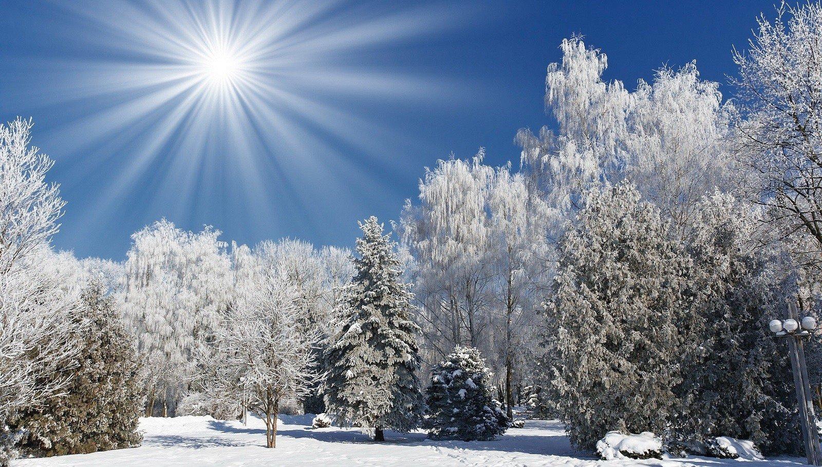Самые красивые картинки С Первым днем зимы