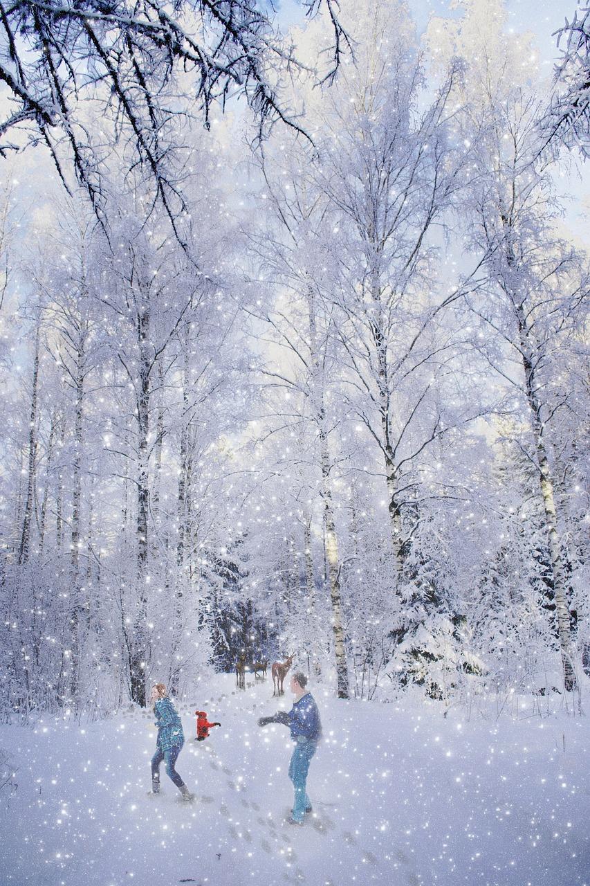 Счастливая семья наслаждается зимой стоковое фото ©tcsaba 125858376