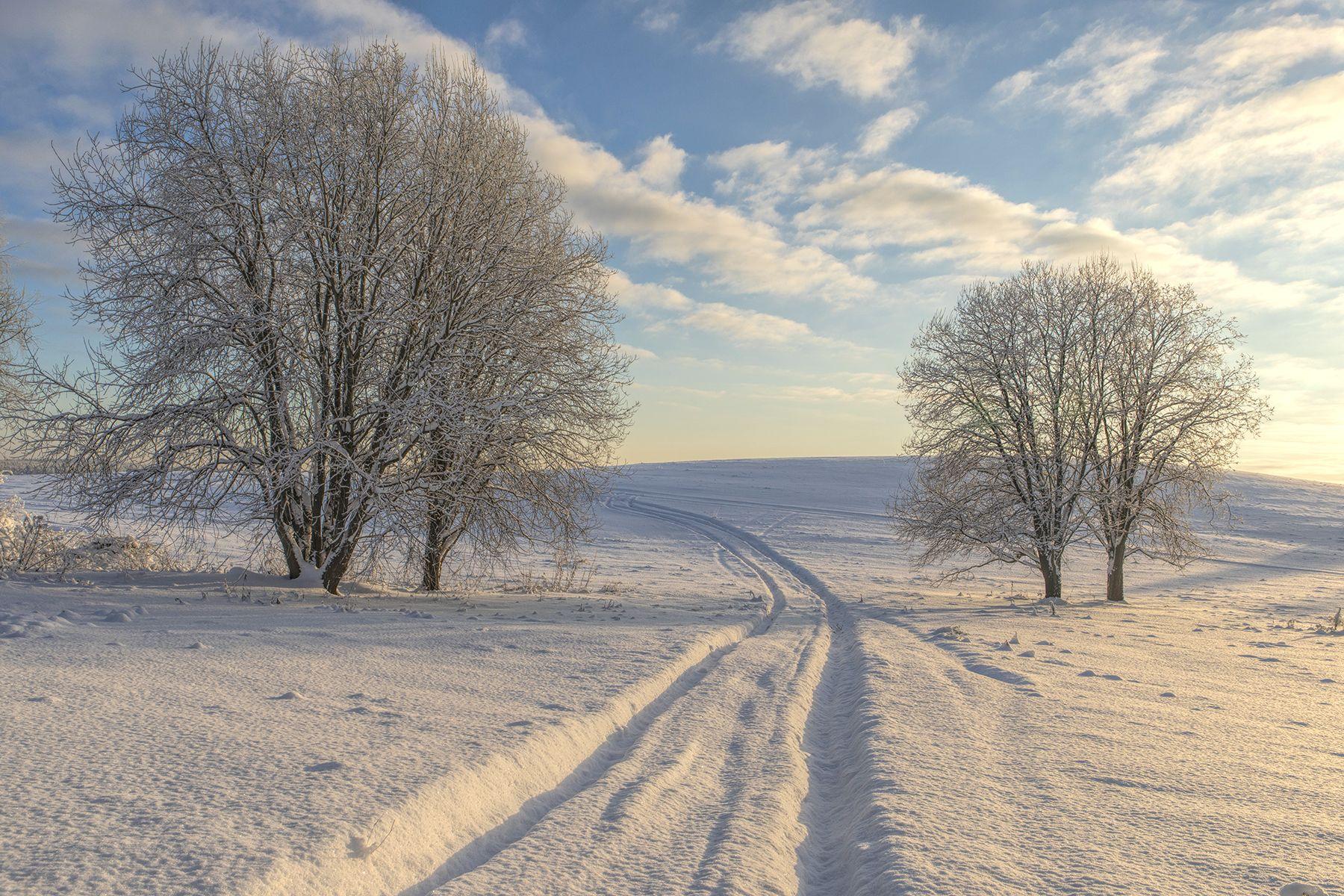 середина зимы. Фотограф Александр Смыков