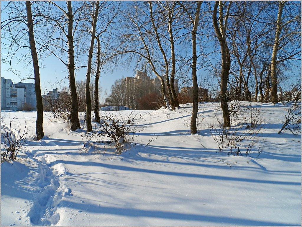 Лютая зима (55 фото) - 55 фото
