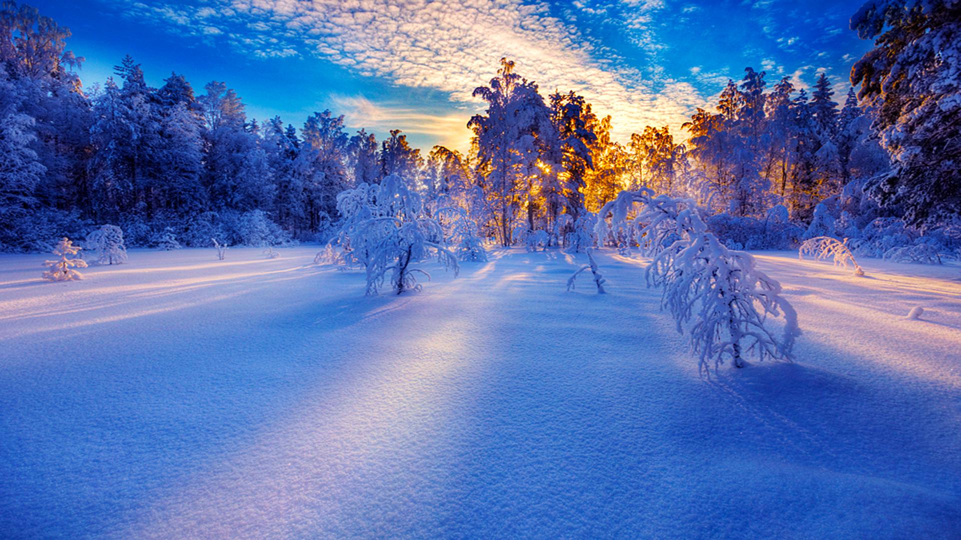 Широкоформатные обои зима: фото, изображения и картинки
