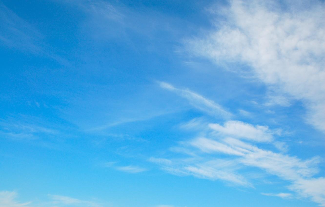 Фотообои Нежно-голубое небо 4937 купить в Украине | Интернет-магазин  Walldeco.ua