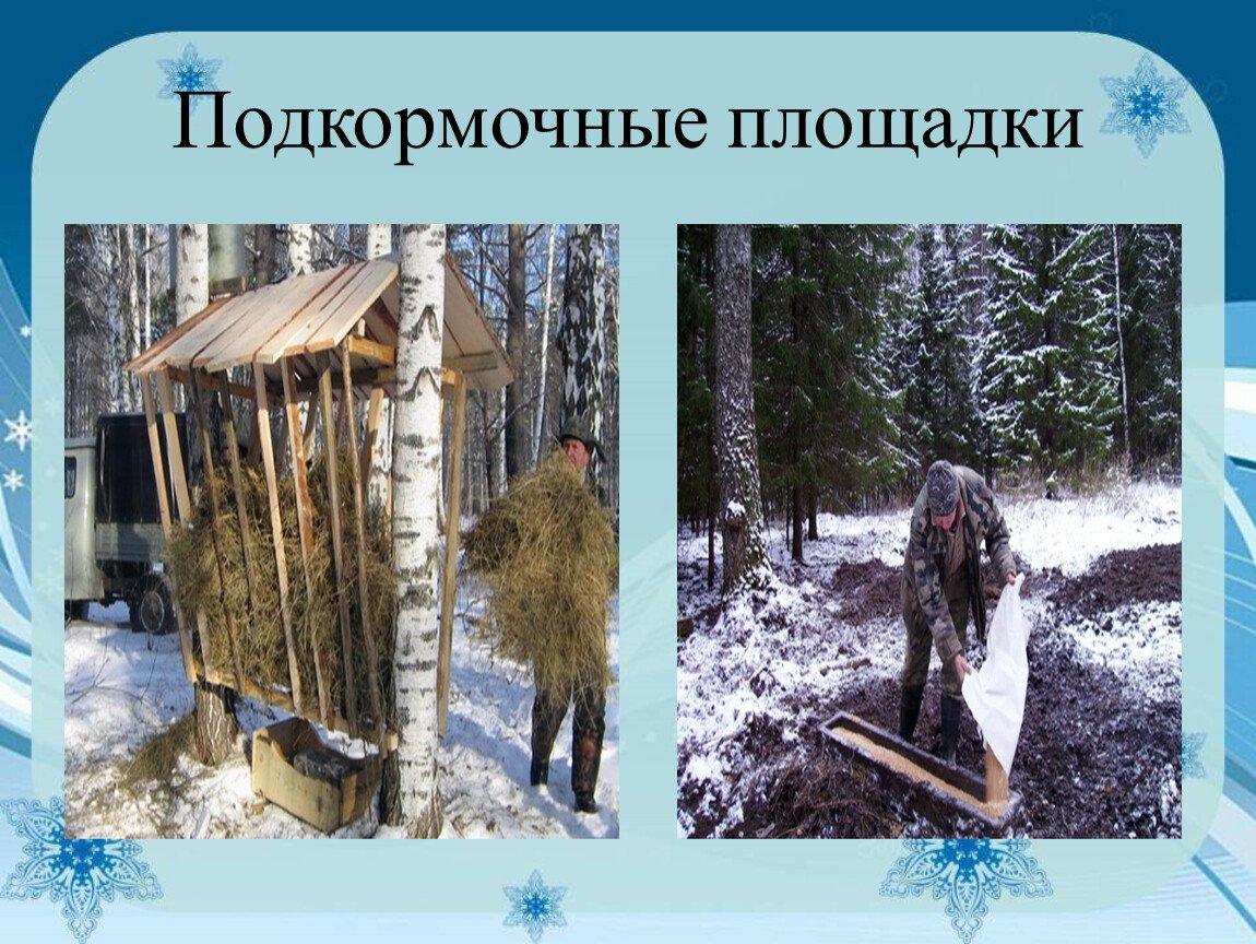 Русская зима (141 фото) - 141 фото