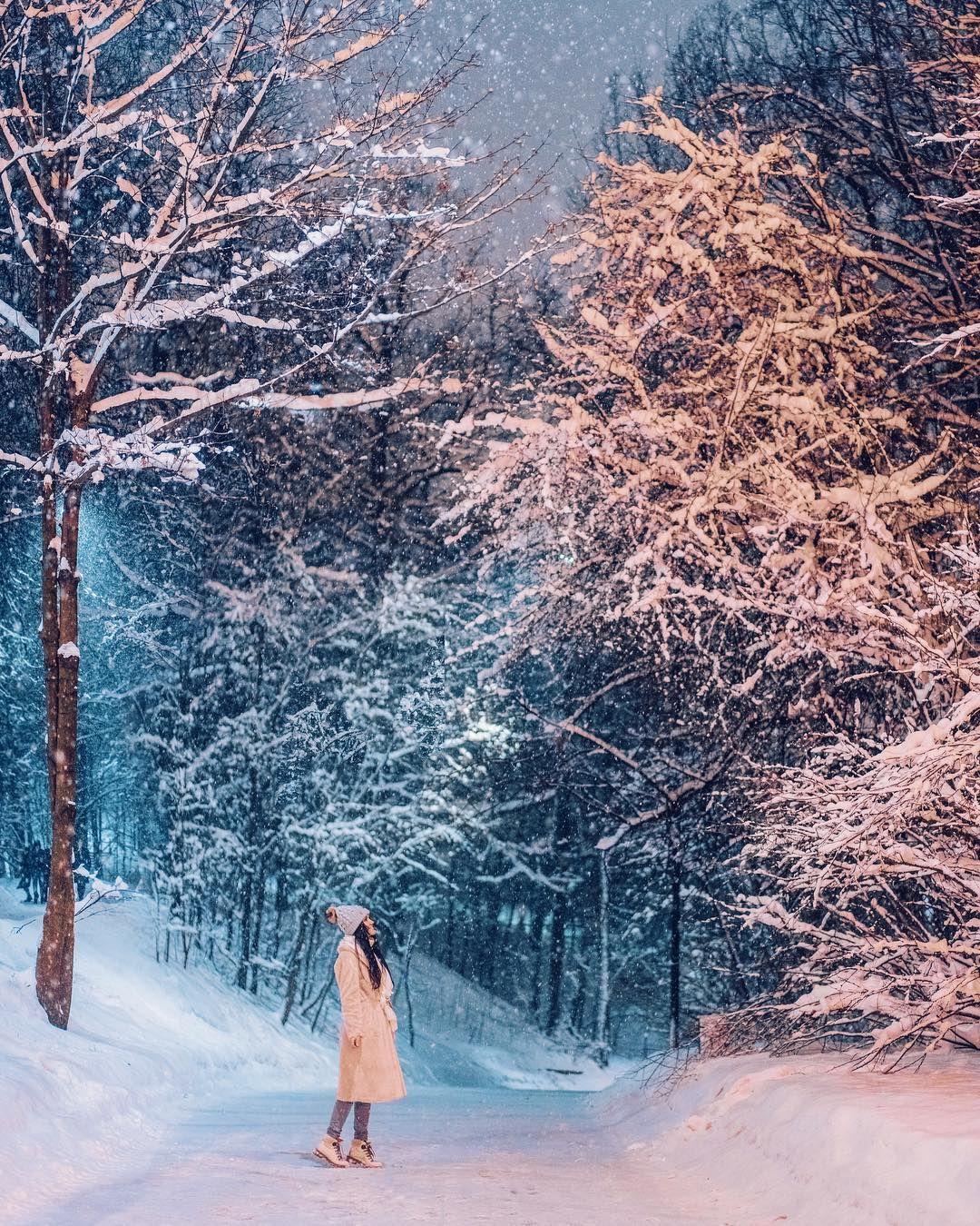 Сказочная зима картинки фотографии
