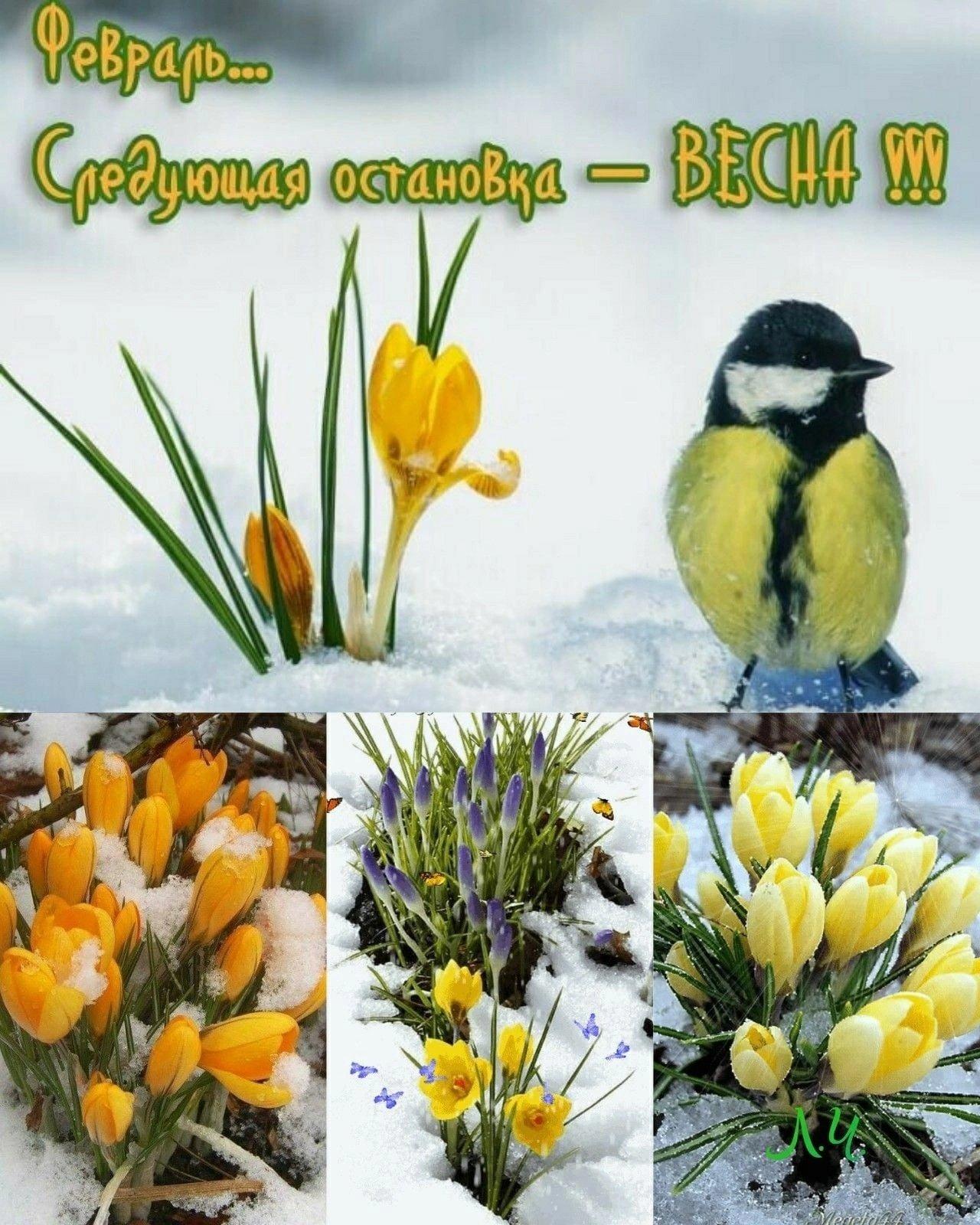 Скоро Весна (Надежда Кочергина) / Стихи.ру