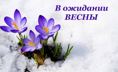 Завтра весна!. Photographer Alla Shevchenko