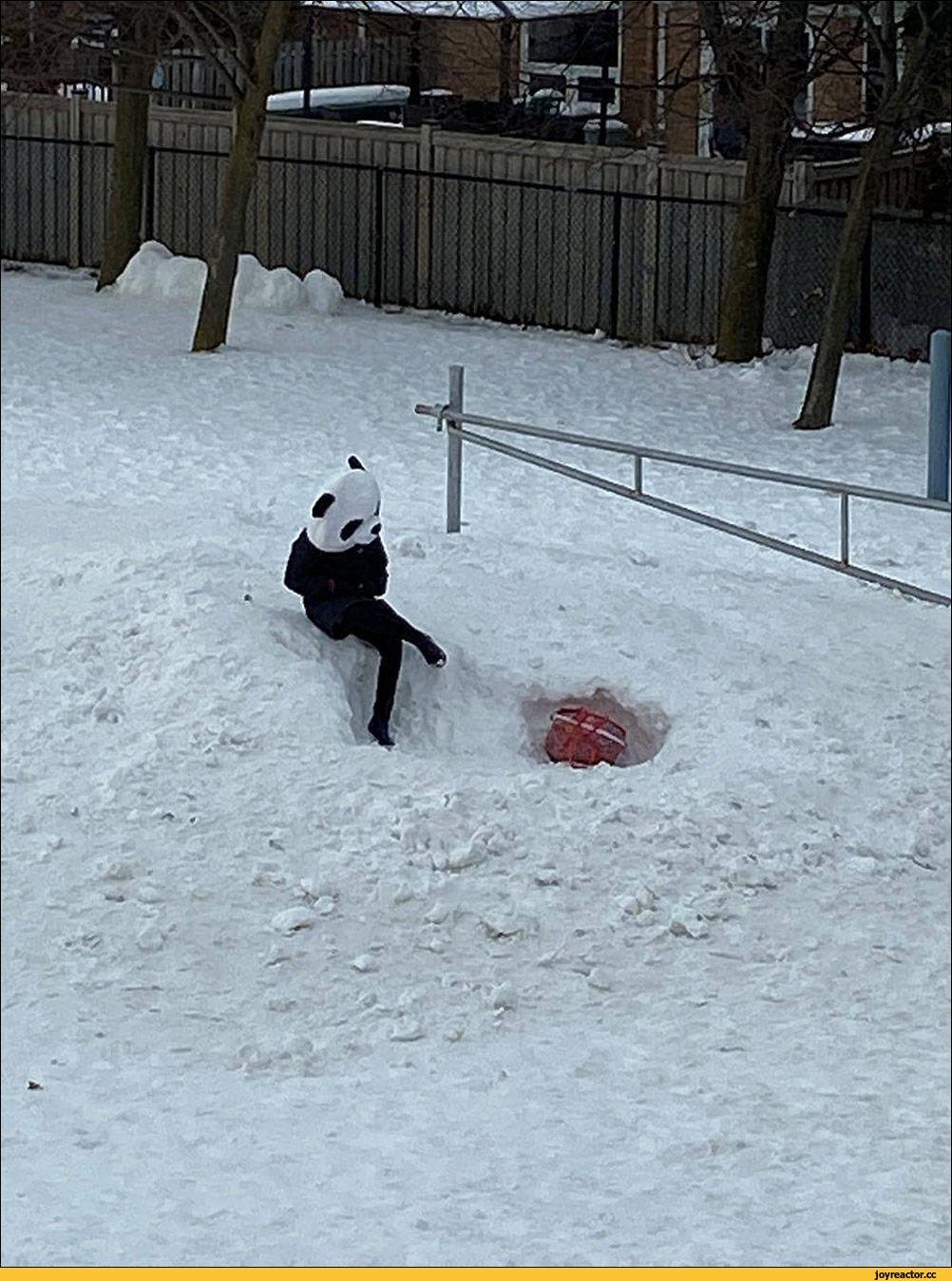 Большой смешной реальный снеговик в зиме Стоковое Изображение - изображение  насчитывающей юмористика, насладитесь: 108913263