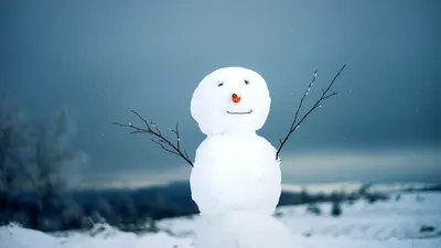 Большой смешной реальный снеговик в зиме Стоковое Фото - изображение  насчитывающей владение, холодно: 108956082