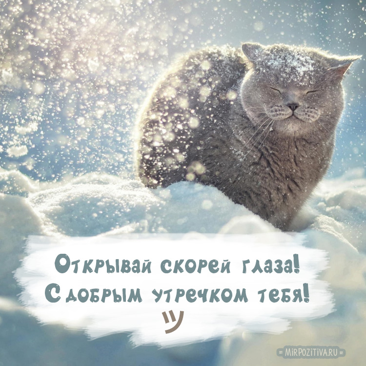Смешные фото зимой для поднятия настроения | Варя.ру | Дзен