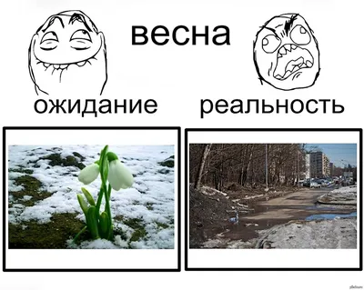Какой будет погода весной 2023 года. Ждать ли ранней весны в этом году - 26  февраля 2023 - ИРСИТИ.ру