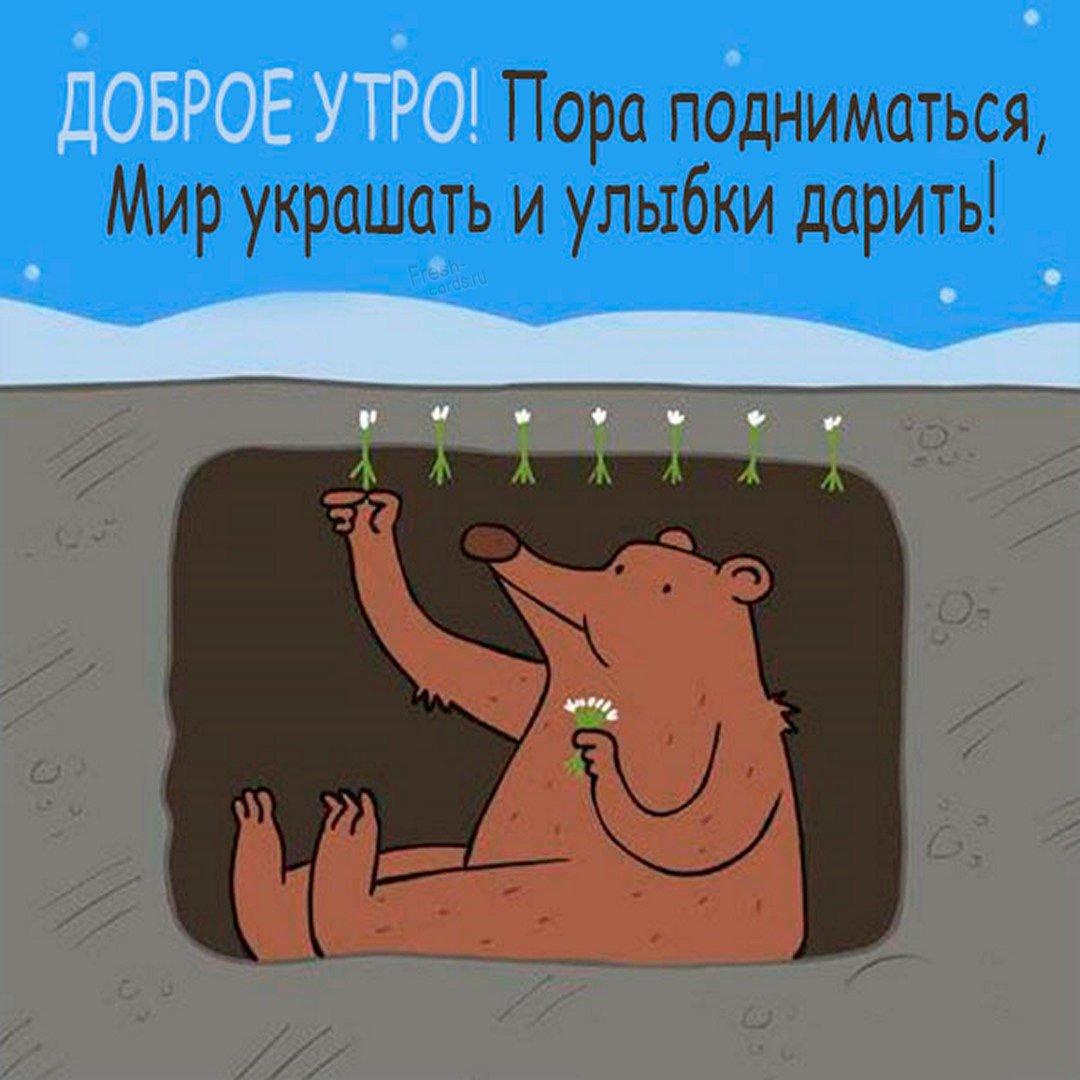 Смешная открытка с Первым Днём Зимы, с собакой в снегу • Аудио от Путина,  голосовые, музыкальные