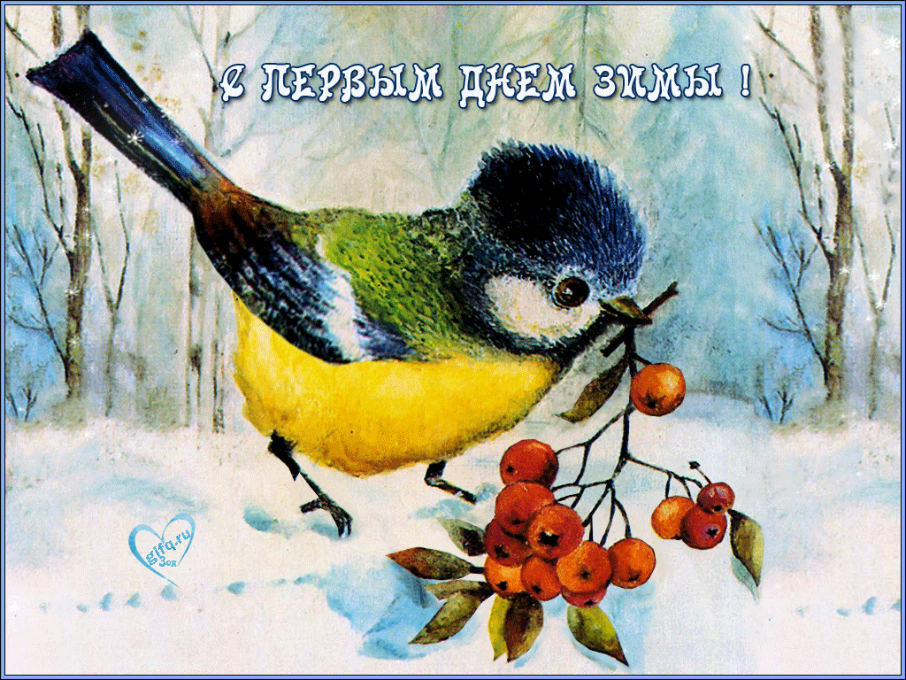 С первым днем зимы - прикольные картинки, открытки, гиф, поздравления в  стихах и прозе