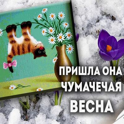 Шоколатье.ру - Скоро весна, друзья! #юмор #шоколад #веснаскоро #весна2017 |  Facebook