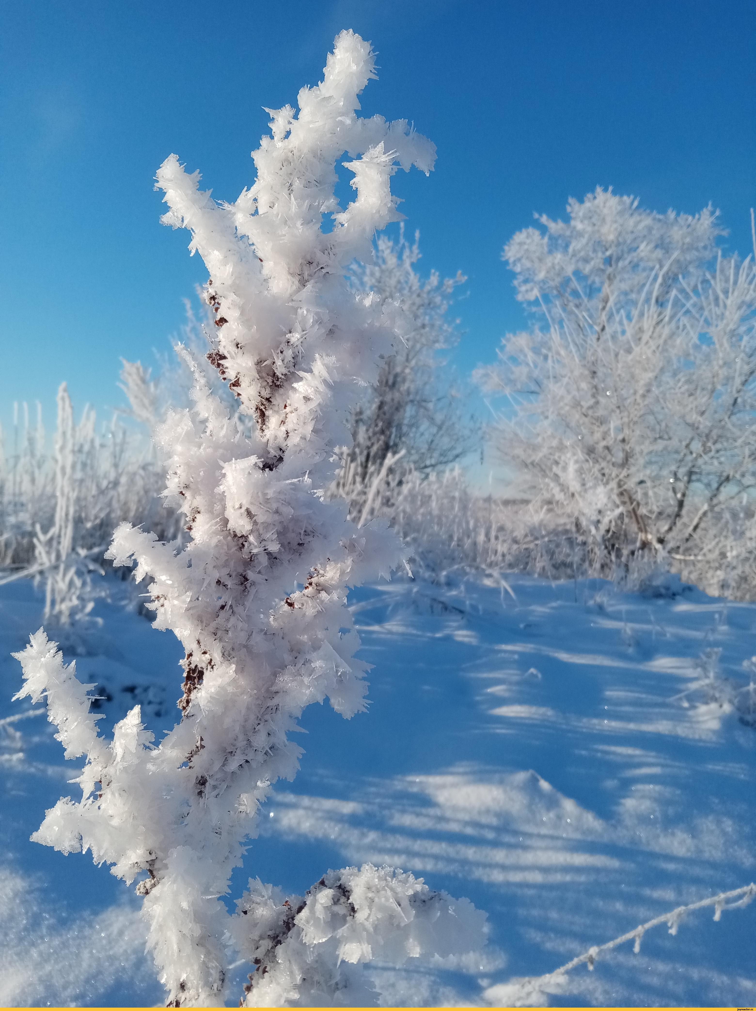 Прикольные картинки про зиму (98 фото)