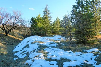 Фото Весна снег, более 98 000 качественных бесплатных стоковых фото