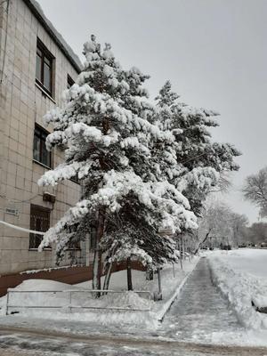 Фото Весна снег, более 98 000 качественных бесплатных стоковых фото