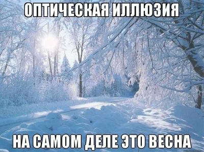 Выпавший в Московском регионе снег может пролежать до весны - В регионе -  РИАМО в Реутове