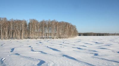 Весна 2024 прогноз - какая будет погода весной, будет ли снег и мороз в  Украине - 24 Канал