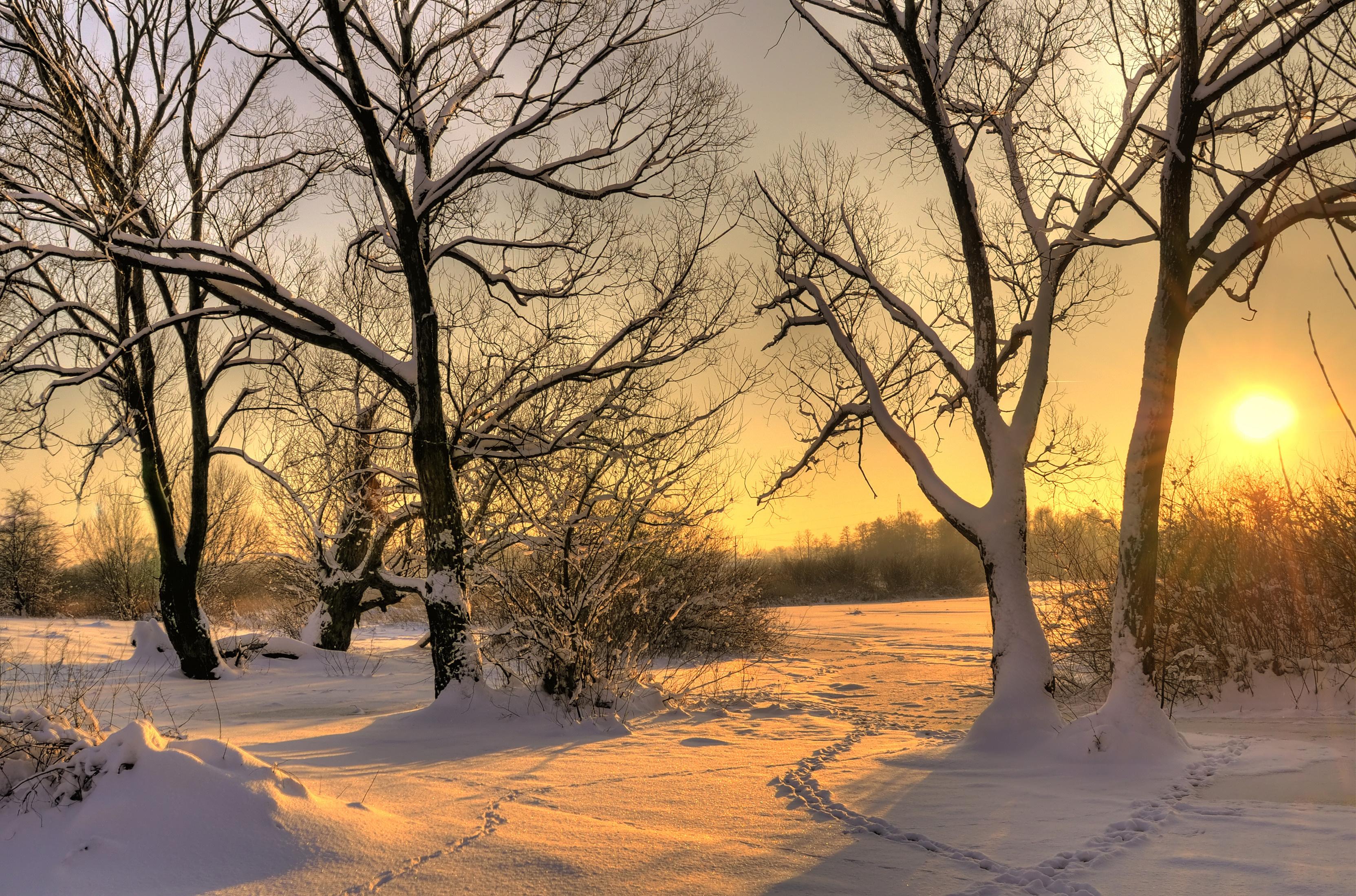 Снег и солнце день чудесный (53 фото) - 53 фото